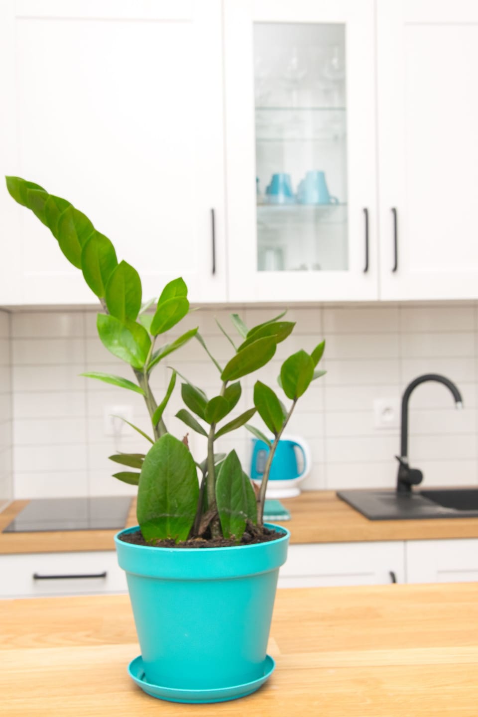 Apartment | Private kitchen | Fridge, dishwasher, electric kettle, cookware/dishes/utensils