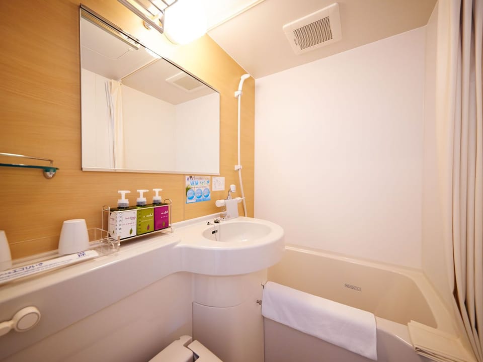 Combined shower/tub, hair dryer, slippers, electronic bidet