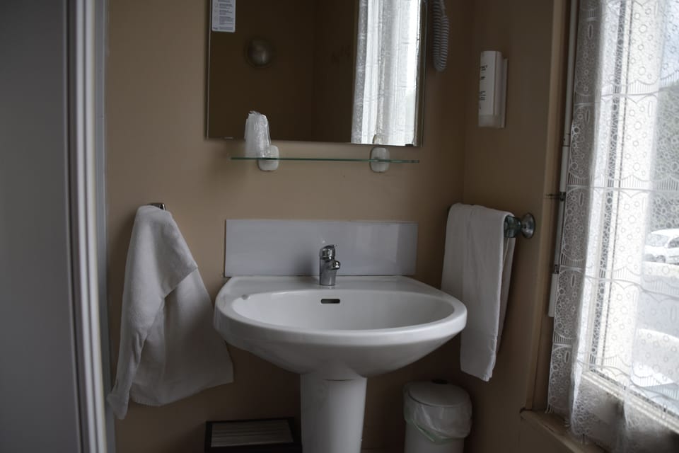 Single Room | Bathroom | Shower, hair dryer, towels
