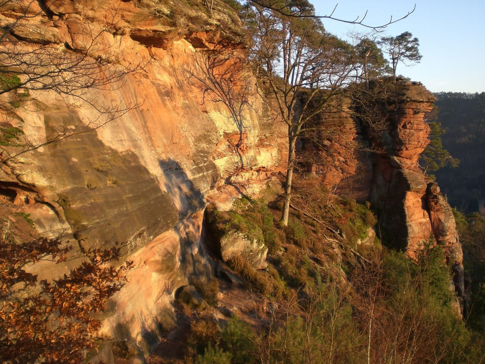 Hiking