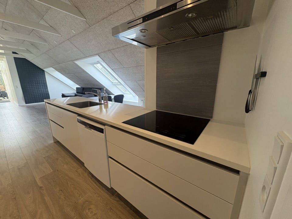 Family Apartment | Private kitchen | Mini-fridge, coffee/tea maker, electric kettle, cookware/dishes/utensils
