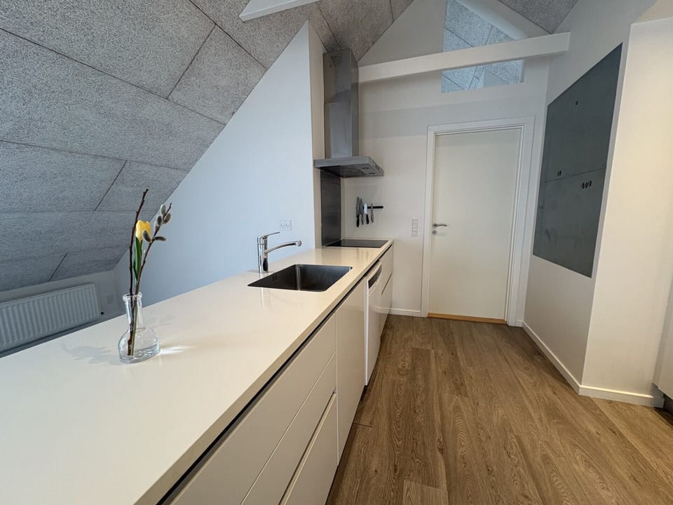 Family Apartment | Private kitchen | Mini-fridge, coffee/tea maker, electric kettle, cookware/dishes/utensils