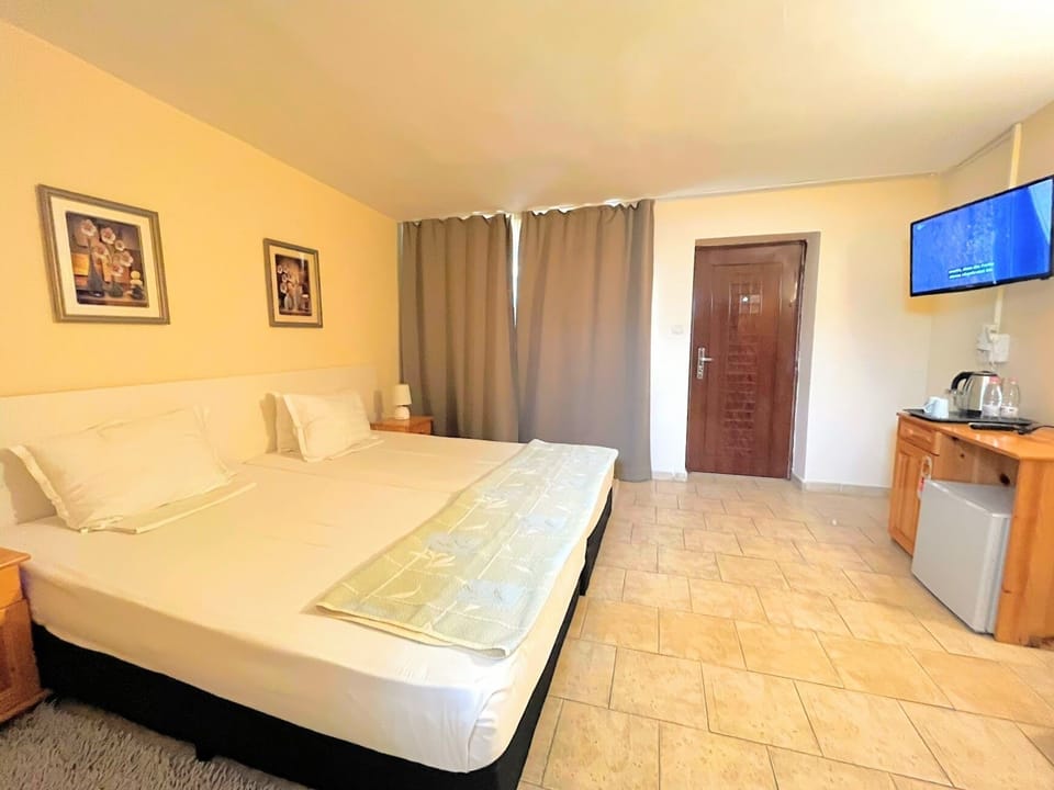 Economy Double Room, Patio | Minibar, blackout drapes, iron/ironing board, free WiFi