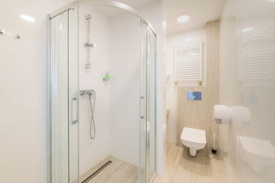 Shower, hair dryer, towels