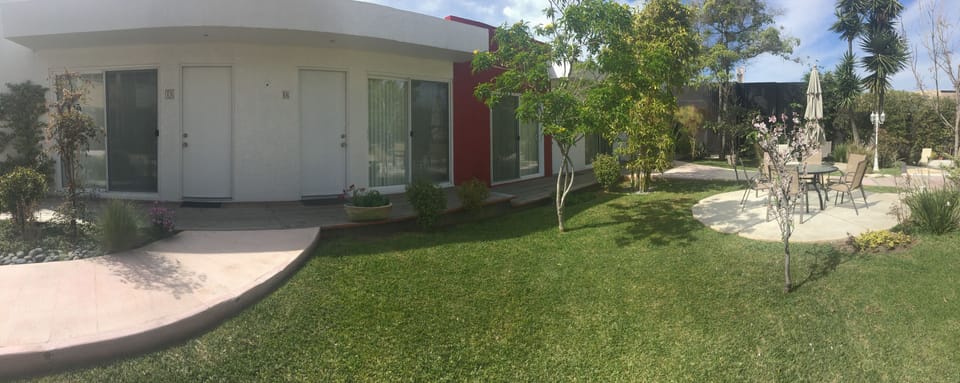 Garden view