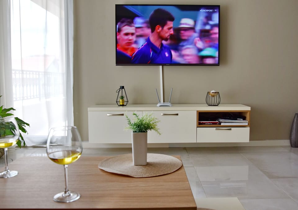 Television