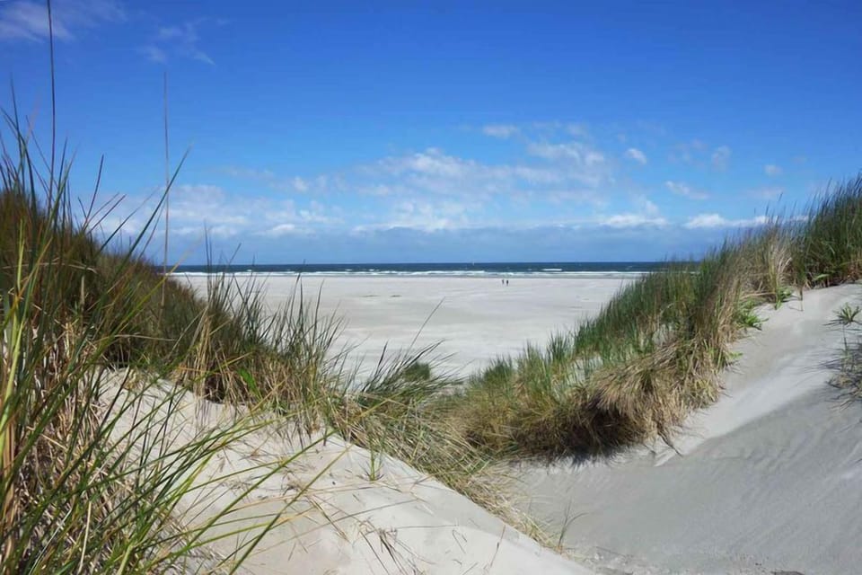 Villa de Hazelaar Bed and Breakfast in North Holland (province)