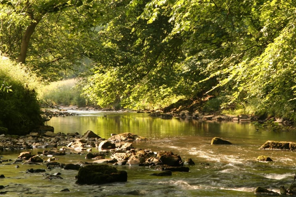 The Little Vicarage Holiday Cottage Cottage in Staffordshire Moorlands District
