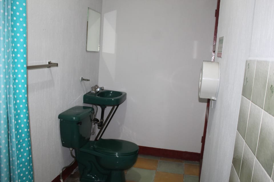 Shower, towels, soap, shampoo