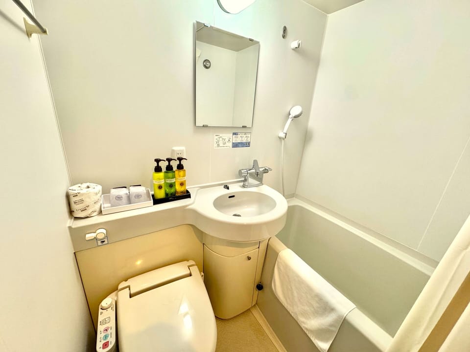 Combined shower/tub, hair dryer, slippers, electronic bidet