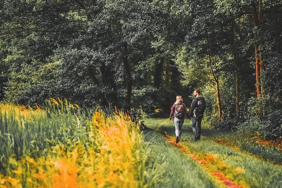 Hiking