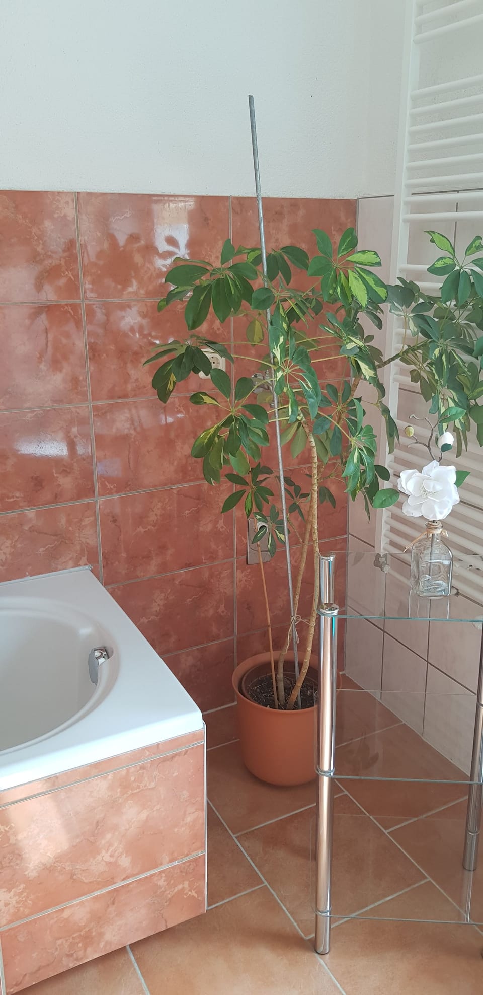 Family Quadruple Room, 1 Bedroom | Bathroom | Shower, hair dryer, bidet, towels