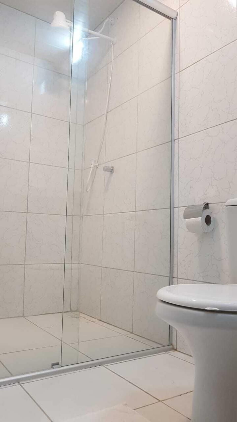 Shower, bidet, towels, toilet paper