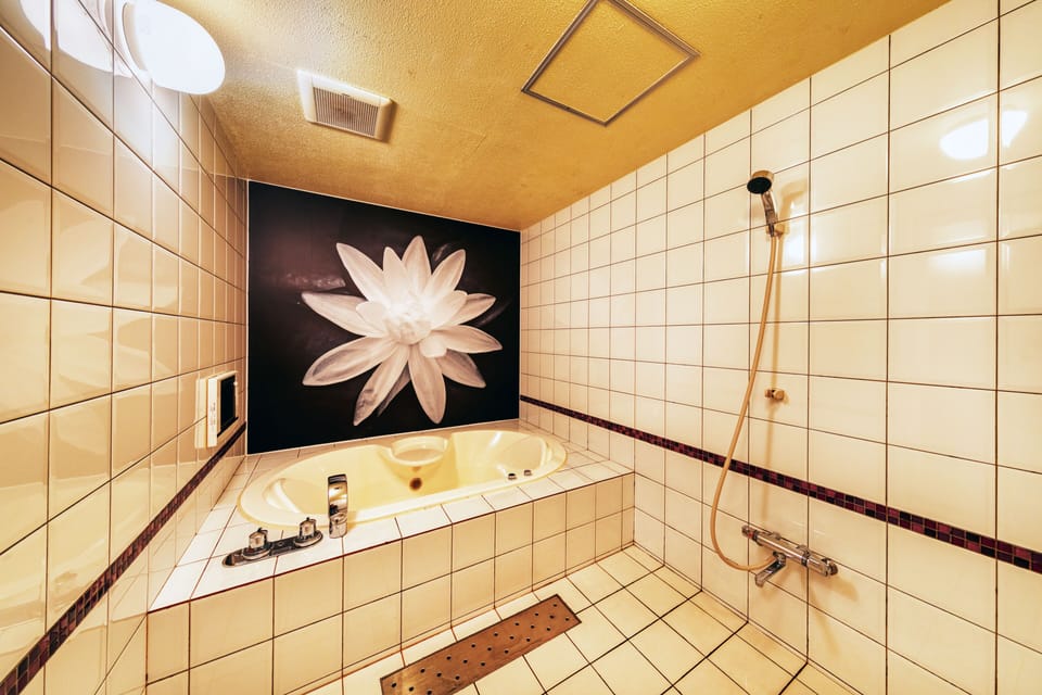 Deluxe Double Room | Bathroom | Separate tub and shower, free toiletries, hair dryer, slippers