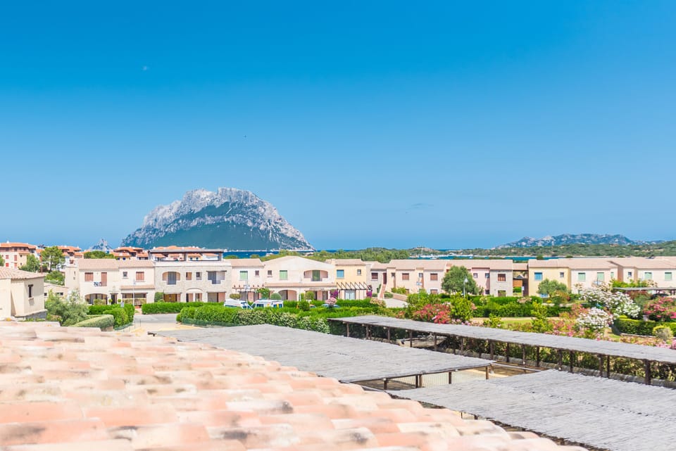 Panoramic Apartment, Multiple Beds, City View | Terrace/patio