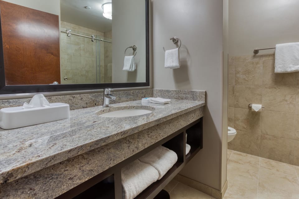 Free toiletries, hair dryer, towels