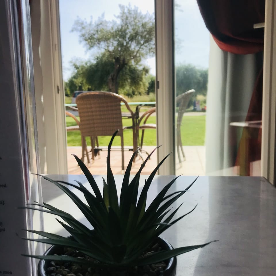Basic Studio, 1 Double Bed with Sofa bed | 1 bedroom, in-room safe, individually decorated, blackout drapes