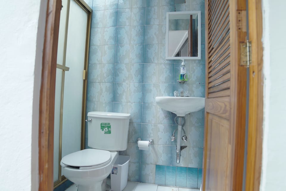 Standard Double Room, 1 Double Bed | Bathroom | Shower, towels, soap, shampoo