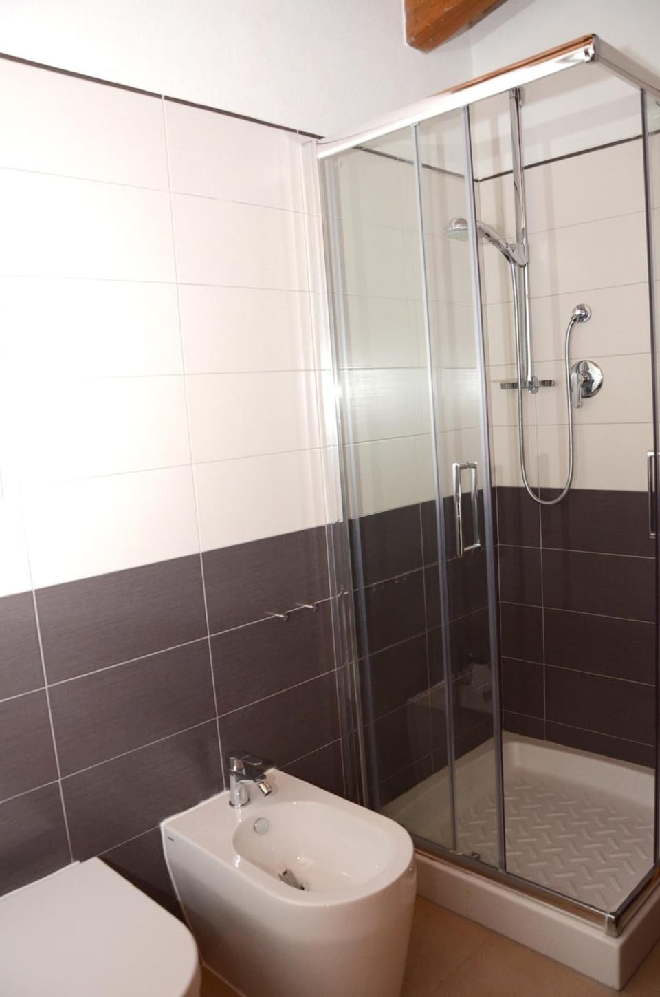 Shower, bidet, towels, soap