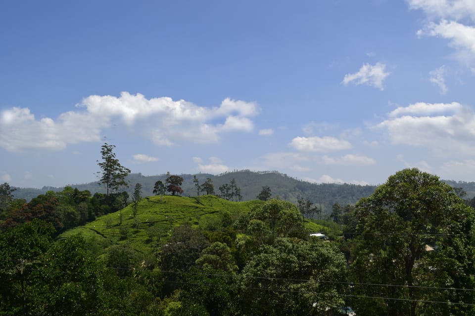 Land view from property