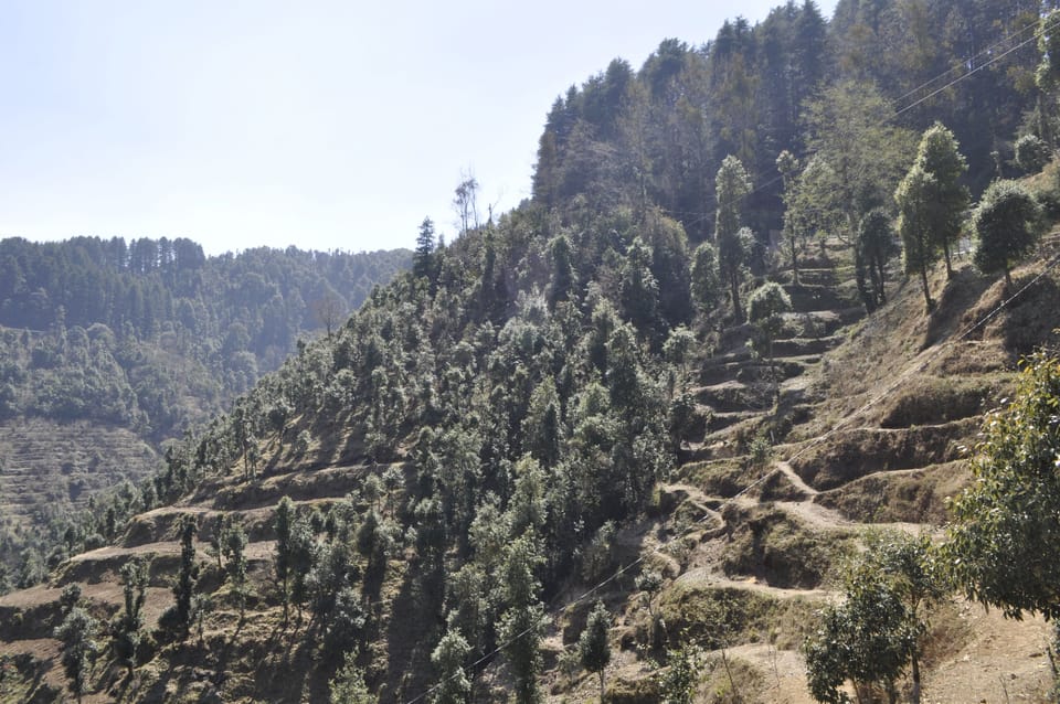 Deluxe Room, Hill View | Mountain view