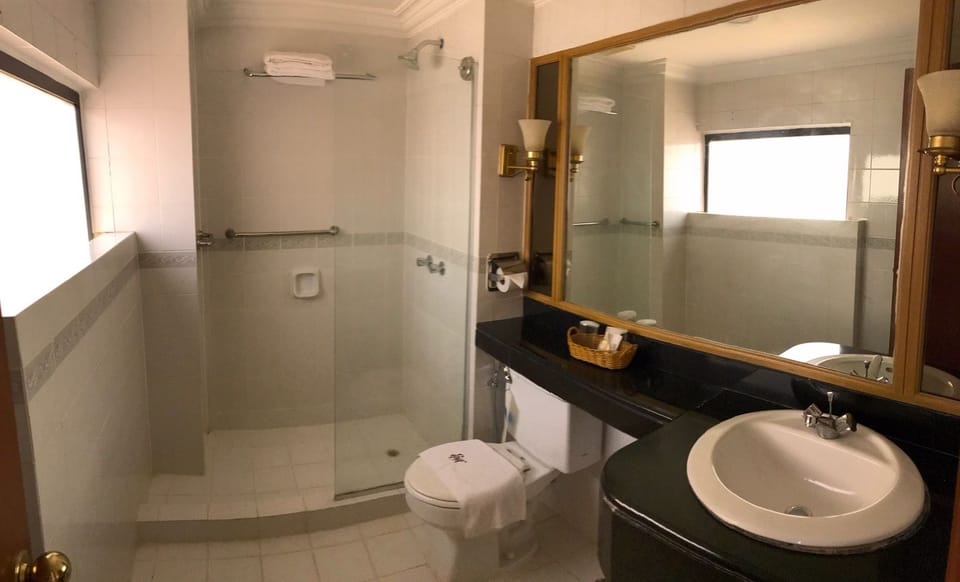 Presidential Suite | Bathroom | Shower, free toiletries, hair dryer, bidet