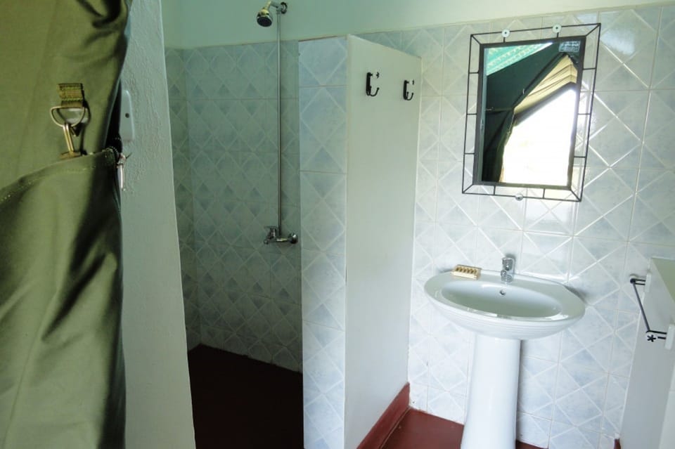 Shower, towels