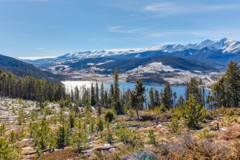 Condo (8284_Silver_Mill) | Property grounds