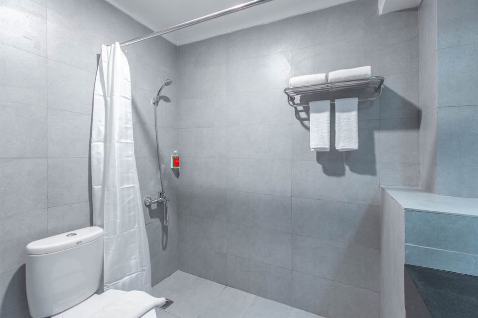 Shower, free toiletries, towels, soap