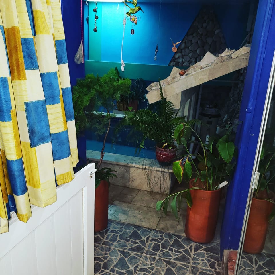 A1 Apartments Aruba Bed and Breakfast in Oranjestad