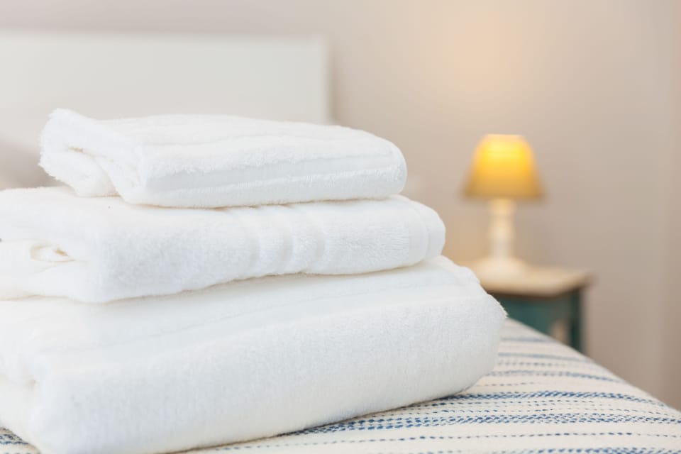 Standard Room | Desk, laptop workspace, iron/ironing board, free WiFi