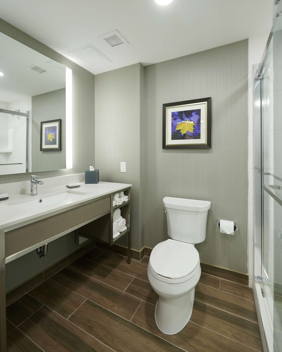 Bathroom shower