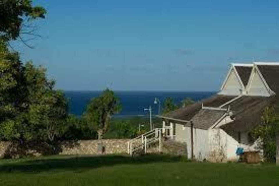 House | Property grounds