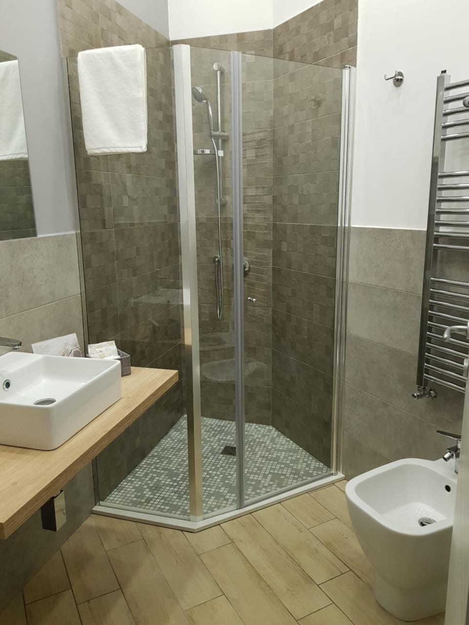 Shower, hair dryer, bidet, towels