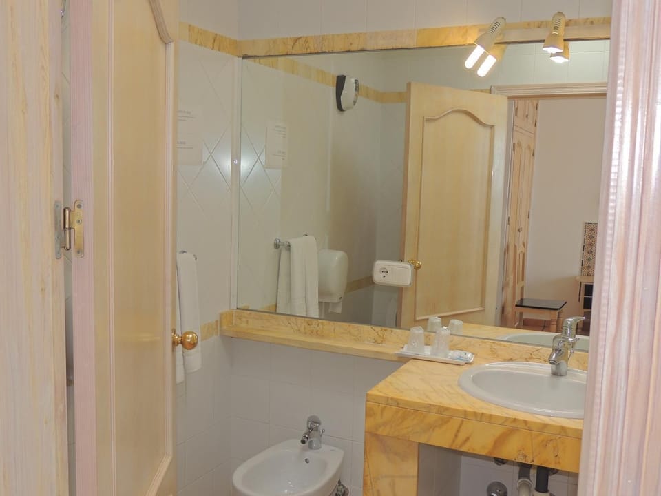 Hair dryer, bidet, towels