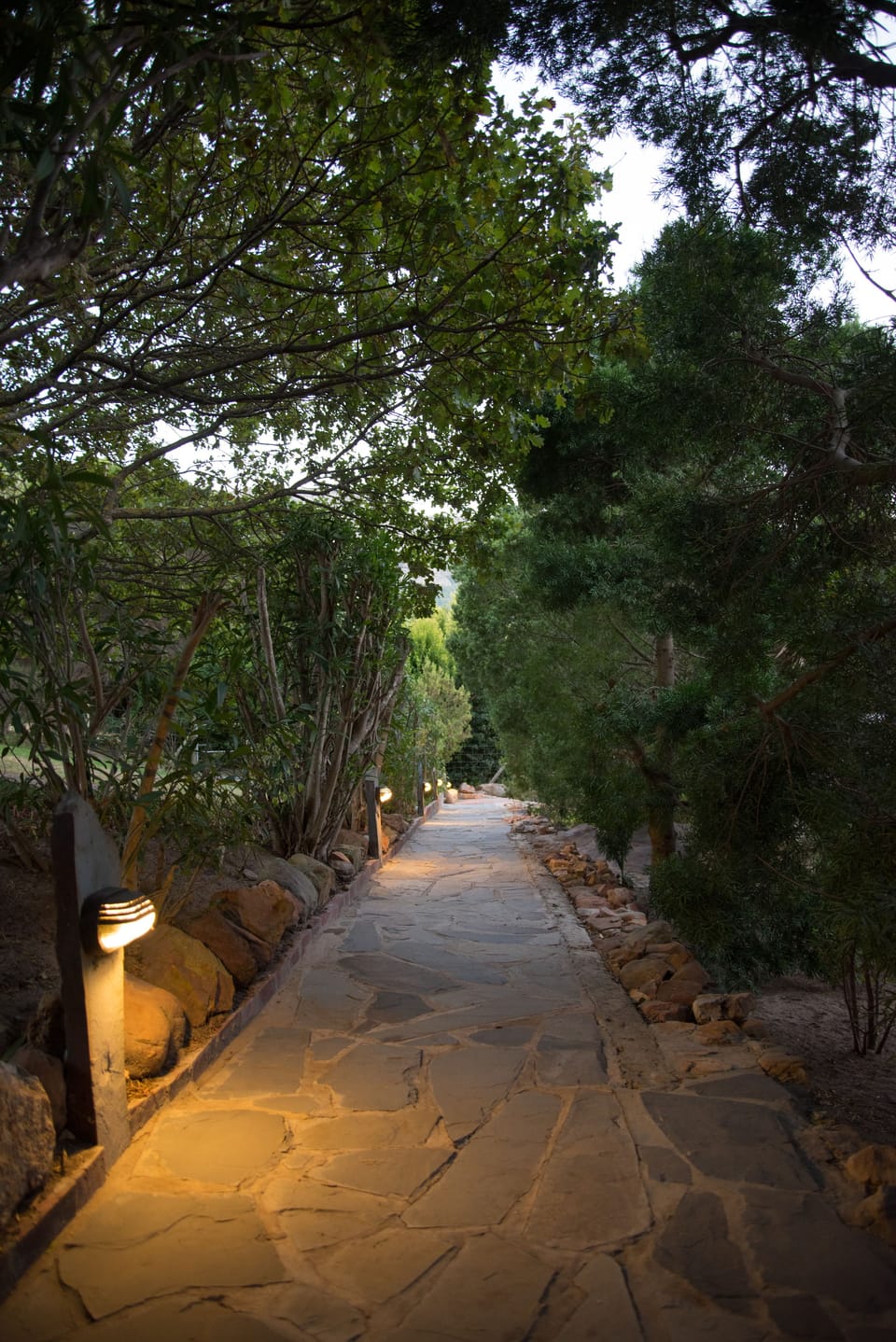 Junior Suite, 1 Bedroom | Property grounds