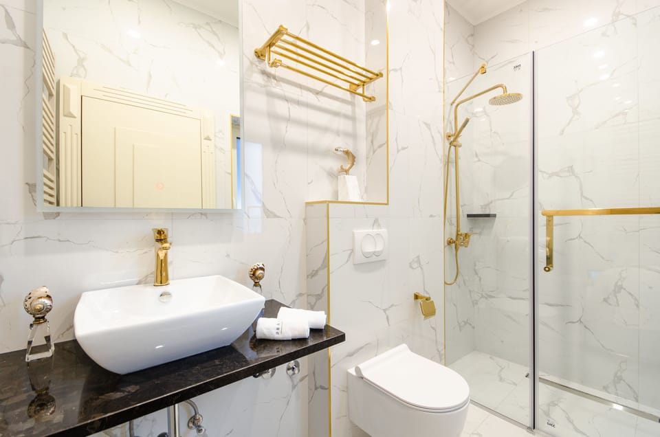 Premium Double Room, 1 King Bed, City View | Bathroom | Shower, hydromassage showerhead, designer toiletries, hair dryer