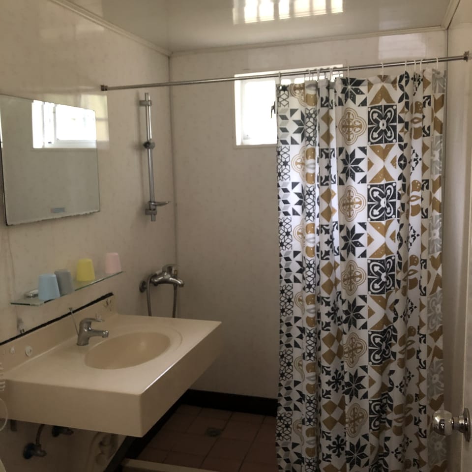 Standard Double Room | Bathroom | Shower, free toiletries, hair dryer, slippers