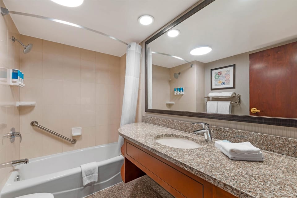 Room, 1 King Bed with Sofa bed (Sofa Sleeper, View) | Bathroom | Combined shower/tub, free toiletries, hair dryer, towels