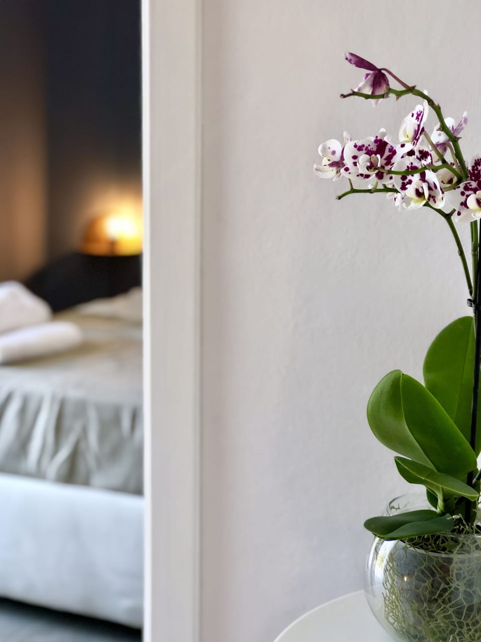 Superior Double Room, 1 Large Twin Bed, Garden View | View from room