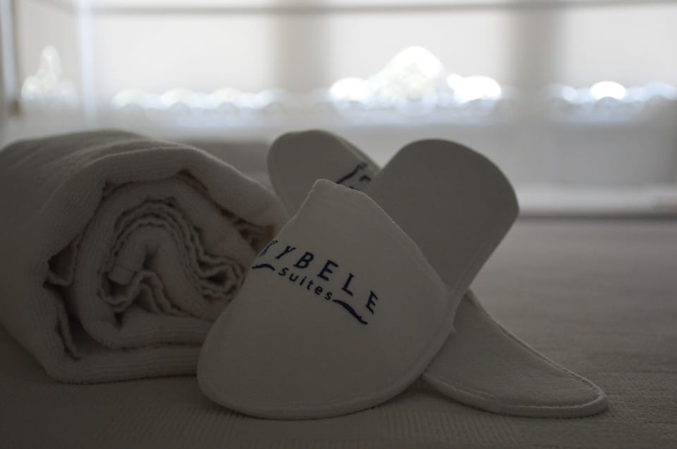 Shower, hair dryer, bathrobes, slippers