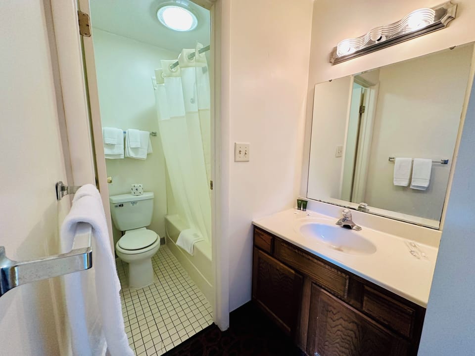 Premium Suite | Individually furnished, desk, blackout drapes, iron/ironing board