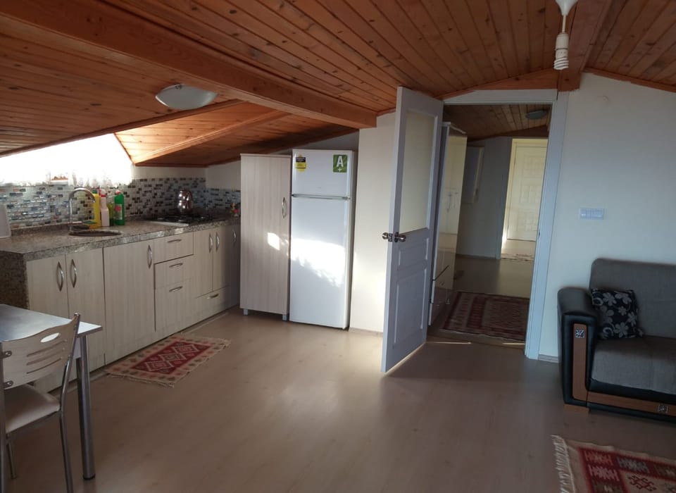 Standard Penthouse, Sea View | Private kitchenette | Fridge, stovetop, cookware/dishes/utensils