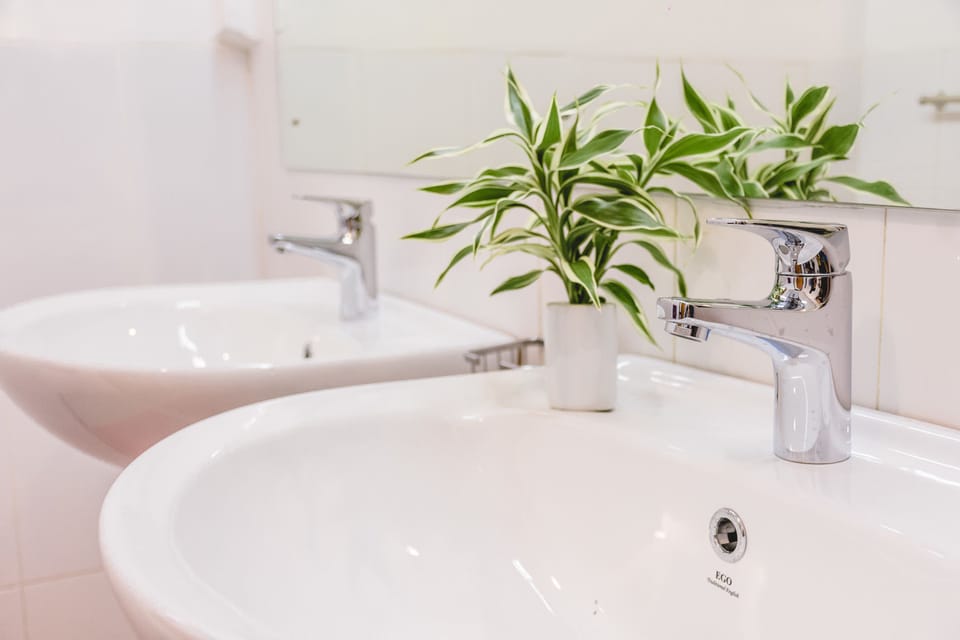 Standard Twin Room, Garden View | Bathroom sink