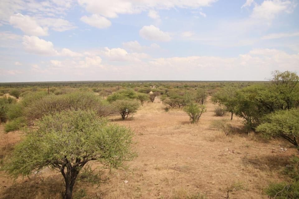Game viewing