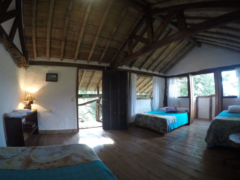 Family Room, Mountain View (Tucan) | Hypo-allergenic bedding, laptop workspace, rollaway beds, free WiFi