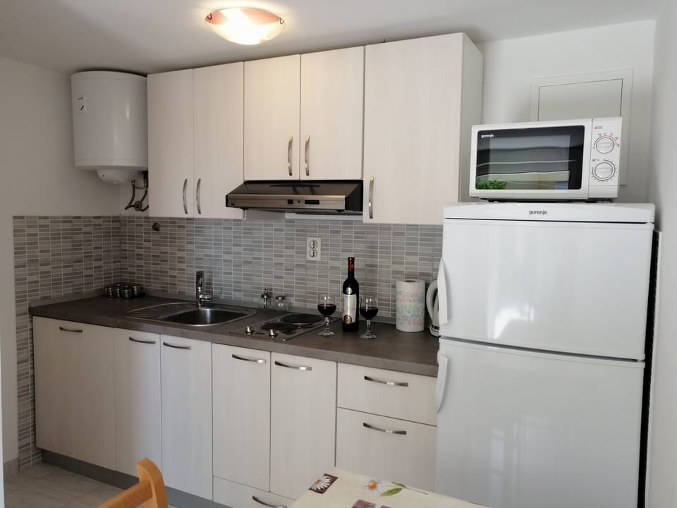 Apartment (A1) | Private kitchen | Fridge, microwave, stovetop, electric kettle