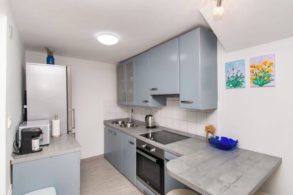 Studio (A1) | Private kitchen | Fridge, oven, stovetop, electric kettle
