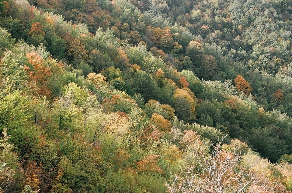Hiking
