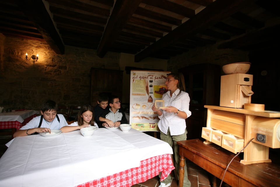 Children's activities